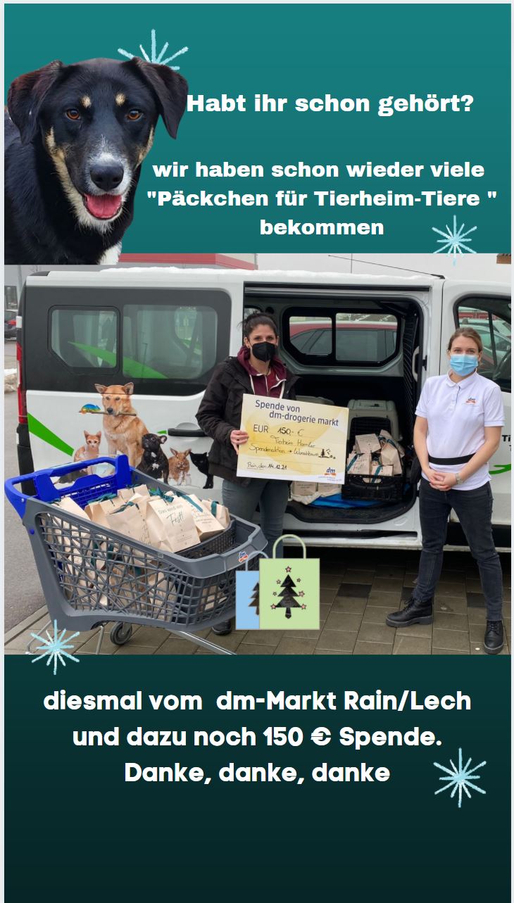 dm-Markt Rain am Lech "Päckchen für Tierheim-Tiere" - Herzlichen Dank