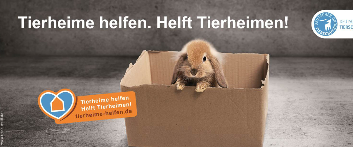 Tierheime helfen - Helft Tierheimen - Petition des Deutschen Tierschutzbundes