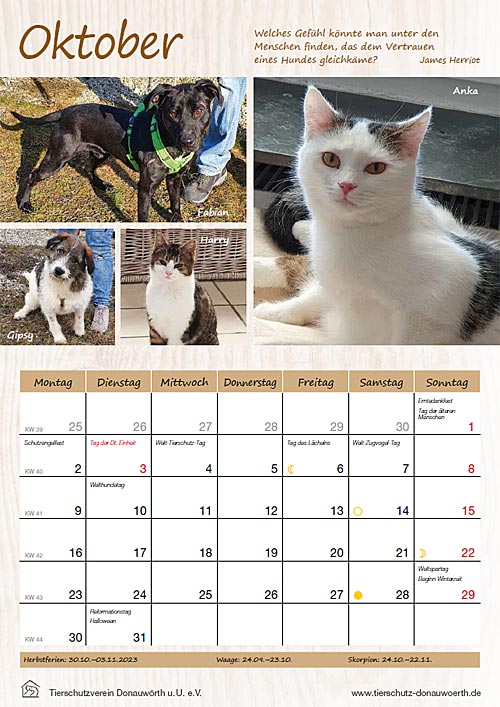 Tierheimkalender 2023