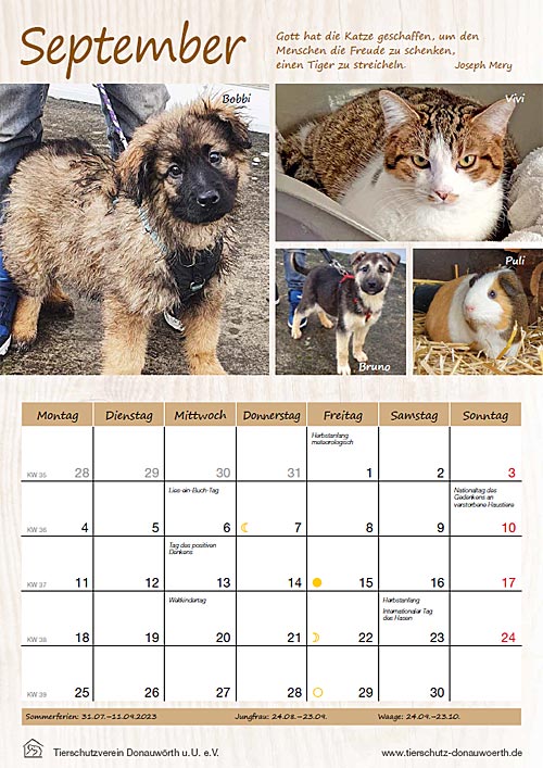 Tierheimkalender 2023