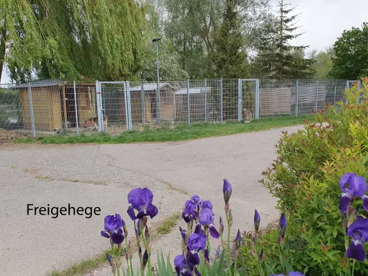 das Freigehege