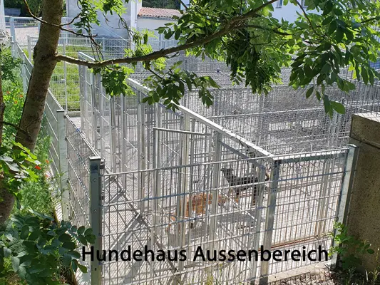 der Außenbereich unseres Hundehaus