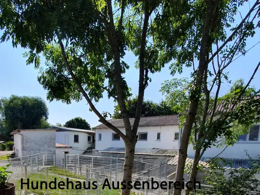 der Außenbereich unseres Hundehaus