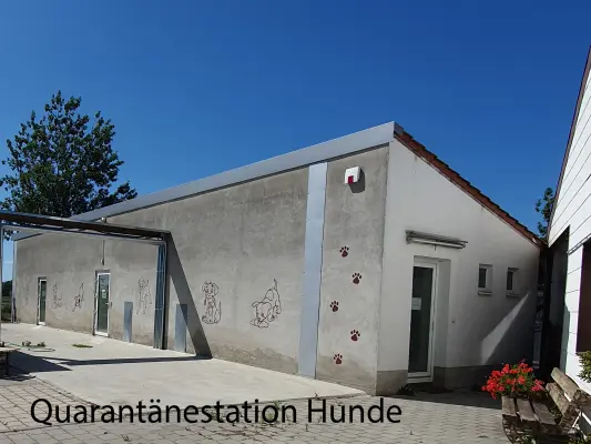 die Quarantänestation für unsere Hunde