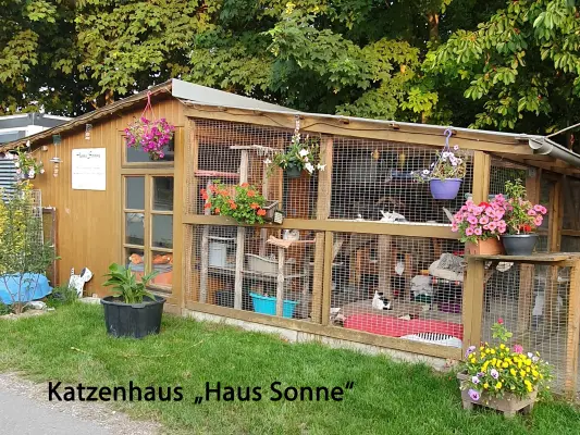 unser Katzenhaus Haus Sonne