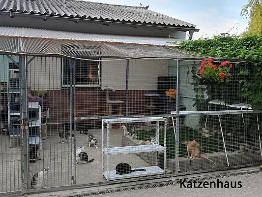unser Katezenhaus