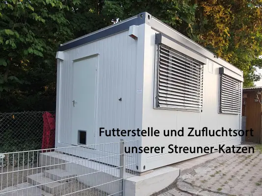 die Futterstelle und der Zufluchtsort für unsere Streuner-Katzen