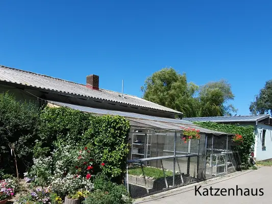unser Katzenhaus