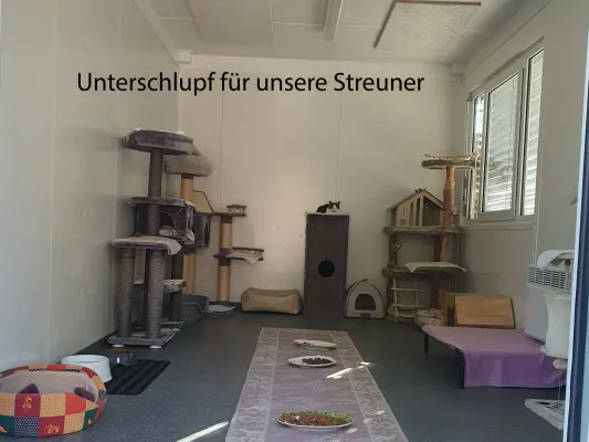 unser Unterschlupf für unsere Streuner Katzen
