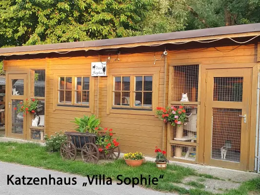 unser Katzenhaus Villa Sophie