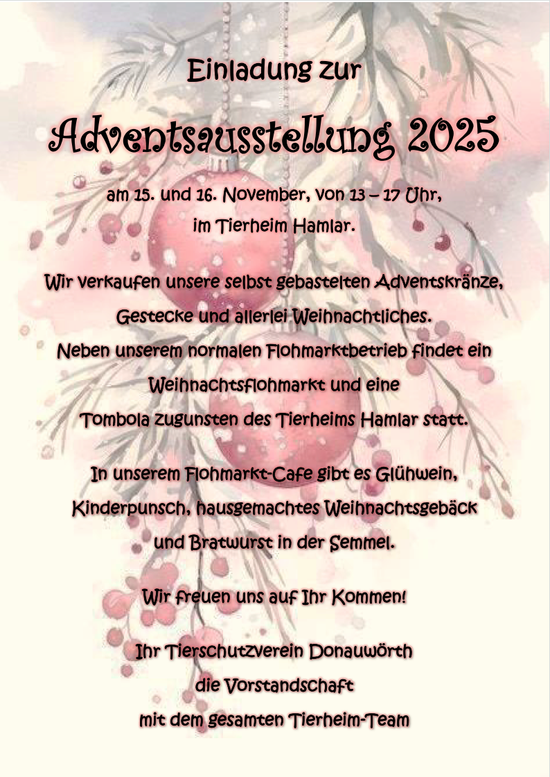 Adventsausstellung am 15. und 16. November 2025