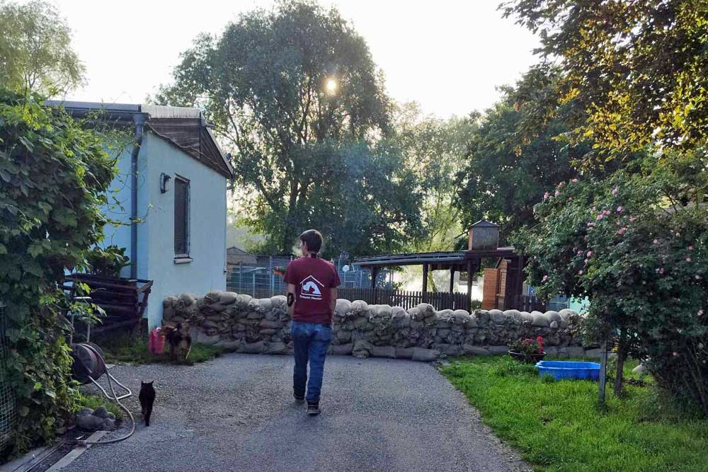 Vielen Dank an die Helfer - Hochwasser-Katastrophe im Tierheim Hamlar