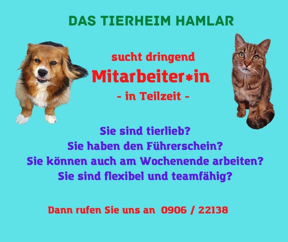 Mitarbeiter:innen gesucht