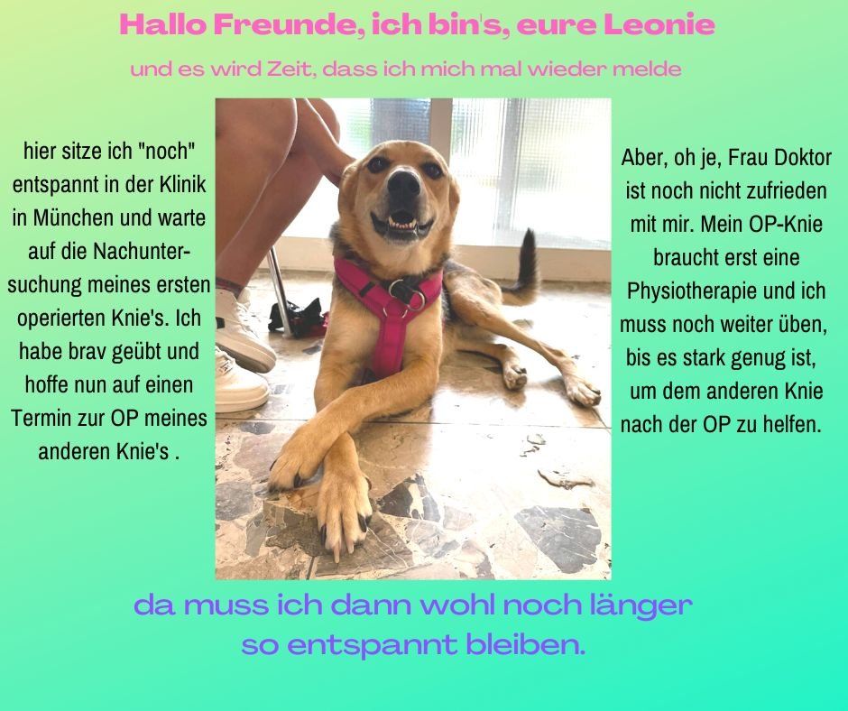 Neuigkeiten von Leonie´s OP