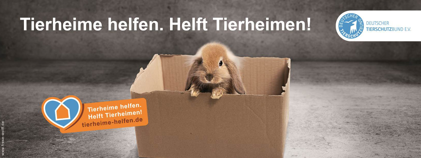 Tierheime helfen. Helft Tierheimen!