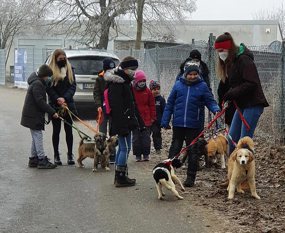 Erste Gruppenstunde der Jugendgruppe des Tierschutzvereins Donauwörth u. U. e. V. im Tierheim Hamlar.