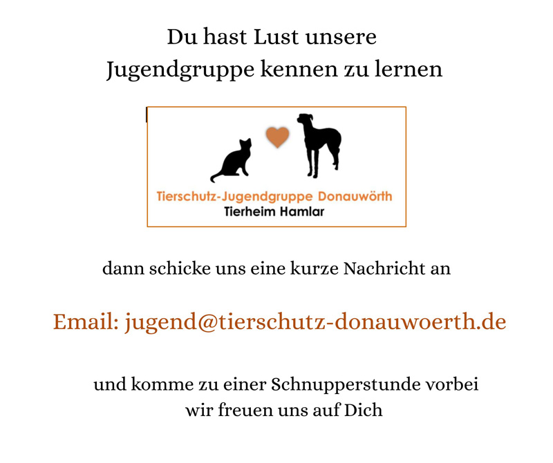 Unsere Jugendgruppe