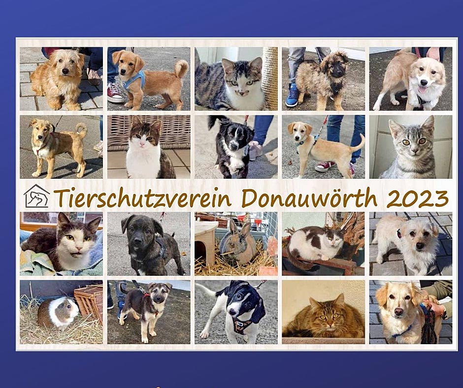 Der neue Tierheimkalender 2023