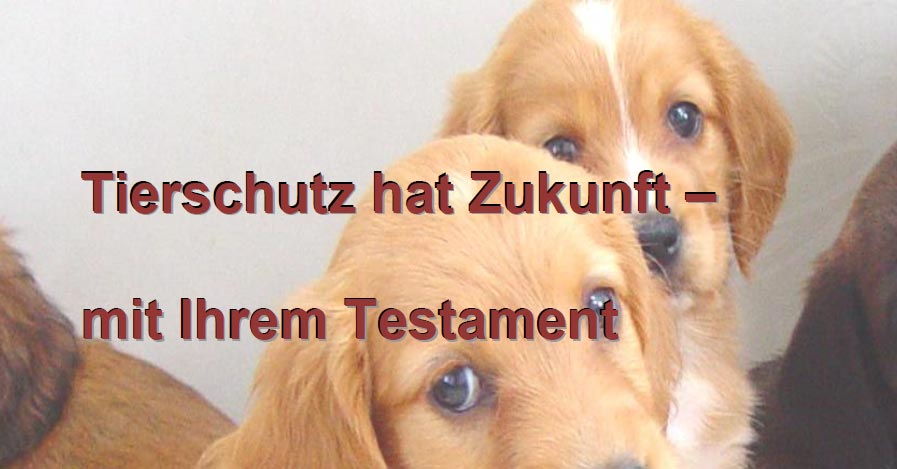 Tierschutz hat Zukunft - mit Ihrem Testament