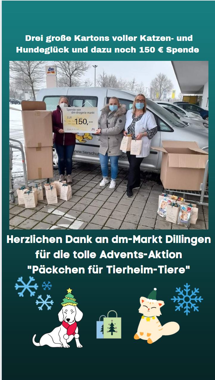 dm-Markt Dillingen "Päckchen für Tierheim-Tiere" - Herzlichen Dank