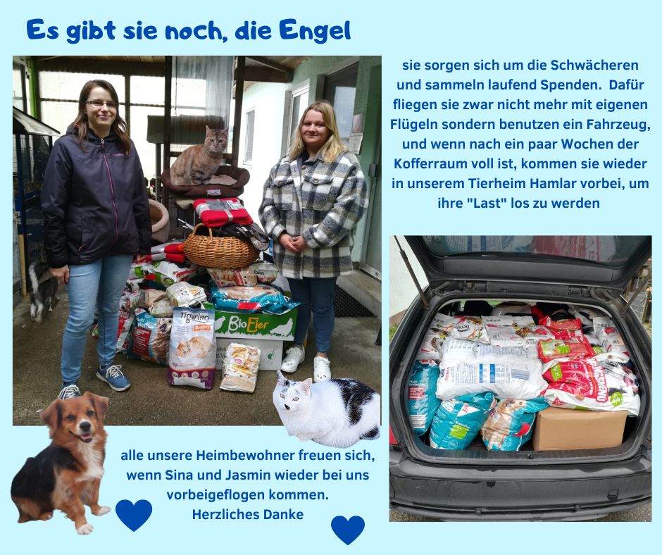 Es gibt sie noch - die Engel