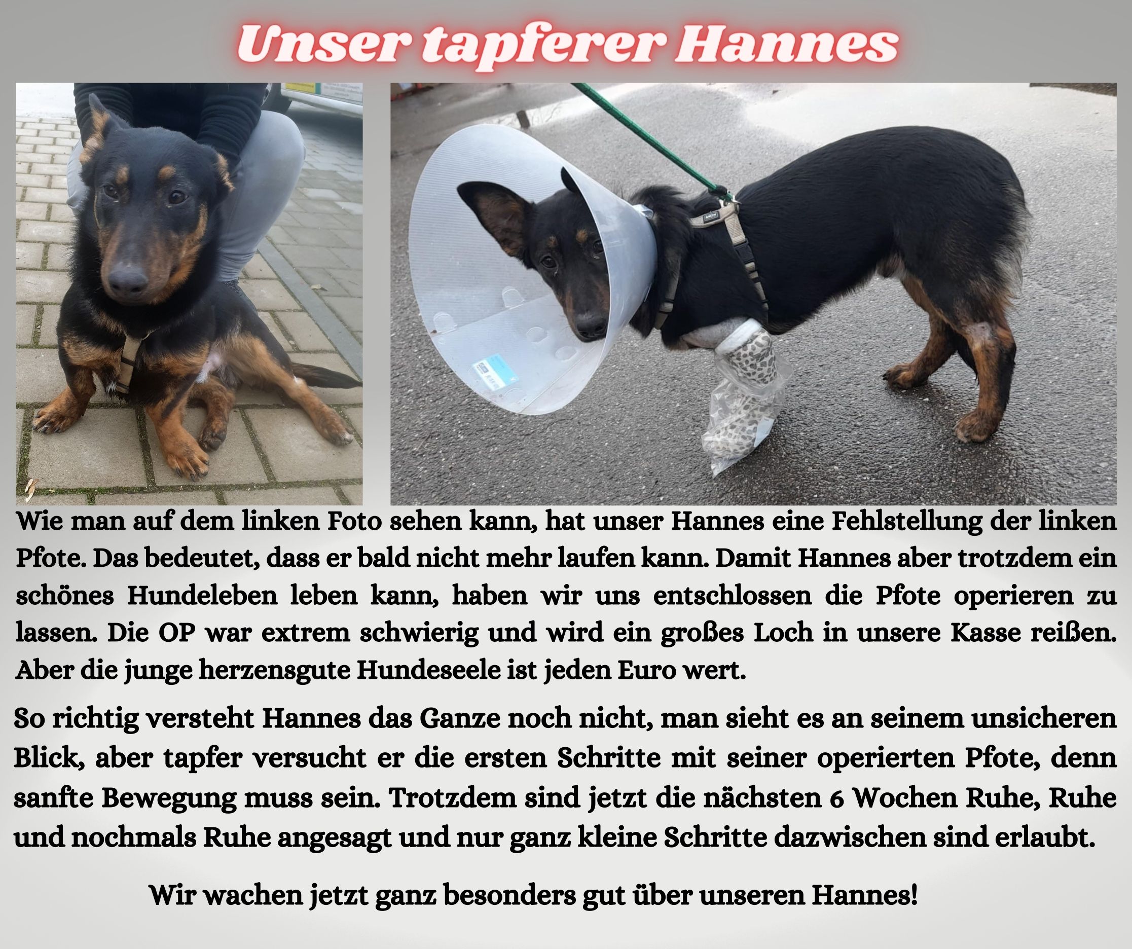 Der tapfere Hannes