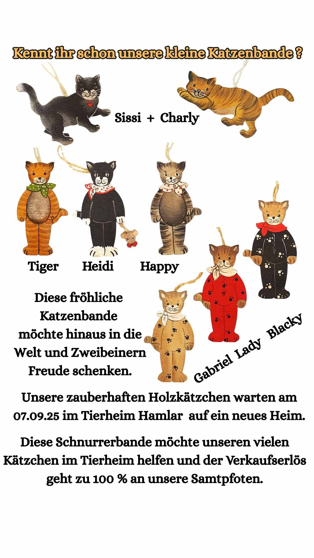Kennt ihr schon unsere kleine Katzenbande?