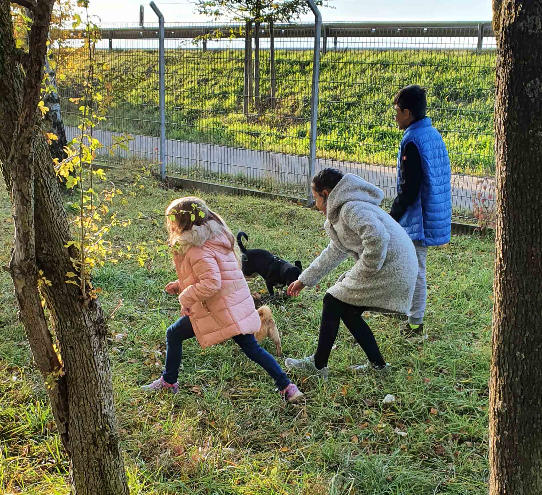 Hundespielen